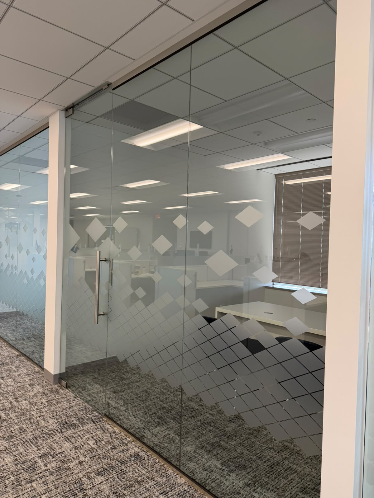 Frosted Privacy Vinyl — Conference Room